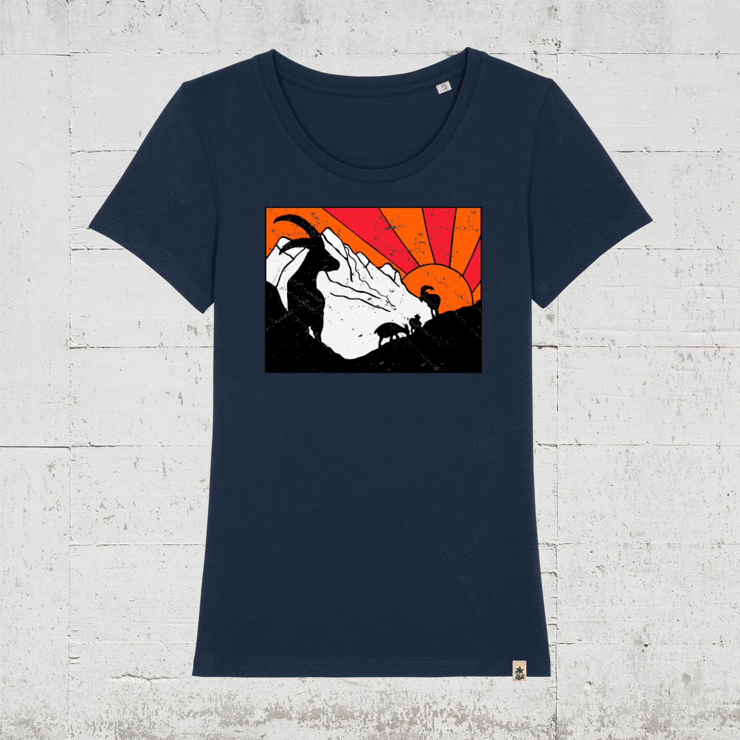 french navy