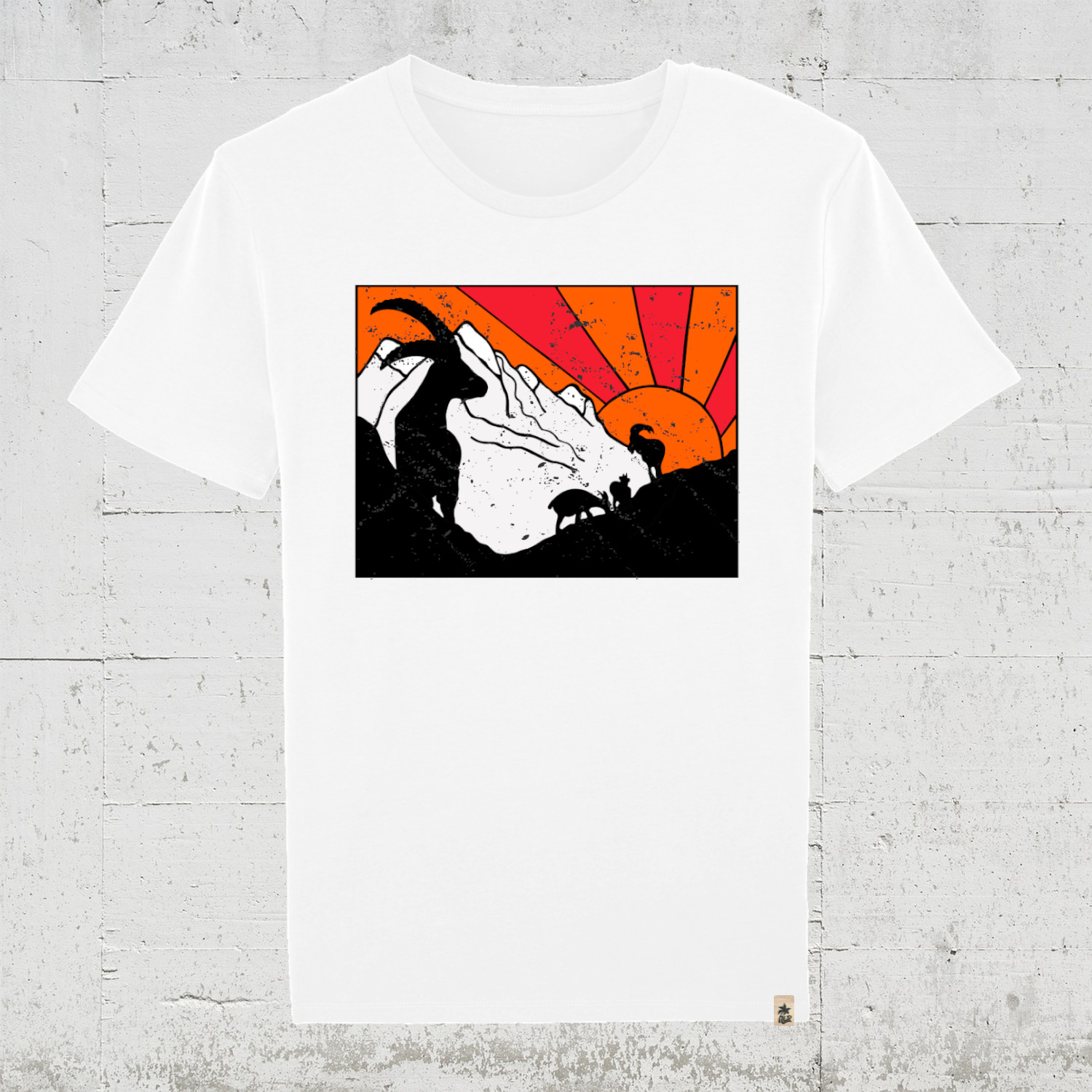 Backcountry | Bio T-Shirt Men
