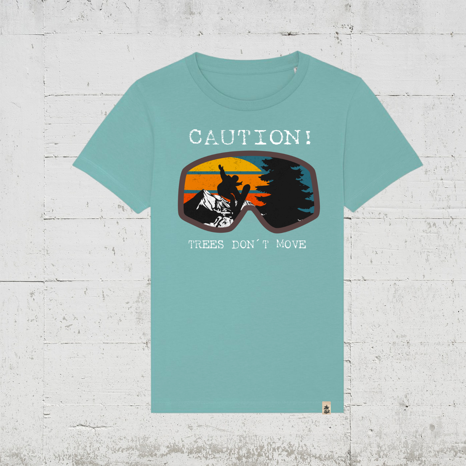 teal monstera
